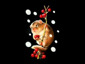 3d HD Wallpaper Animal Pictures Cute