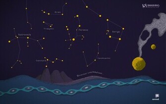 Constellations Desktop And Mobile Wallpaper Wallippo