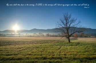 Psalms My Voice Wallpaper Christian And Background