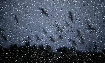 Rainy Day Wallpaper For Android By Andplay Appszoom