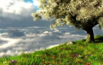 Spring Wallpaper