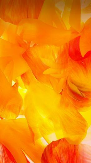 Wallpaper Samsung Galaxy M10 Abstract Colorful HD Os