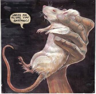 Lab Rat By Oralgiacomini