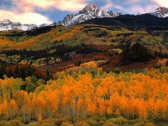 Apple Nature Mac Background Wallpaper HD