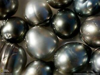 Black Pearls French Polynesia