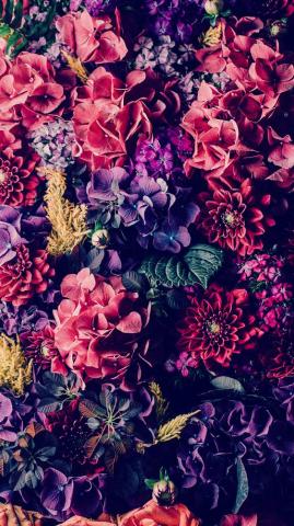 Gorgeous iPhone Plus Wallpaper Preppy