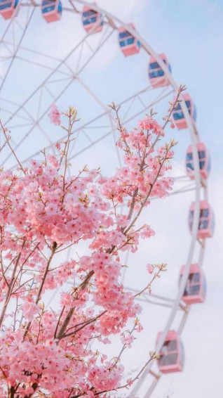 iPhone And Android Wallpaper Pink Spring