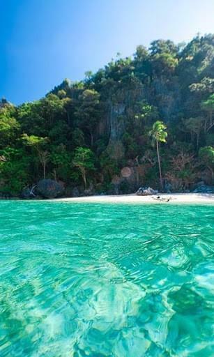 Palawan Resorts Wallpaper For Android Appszoom