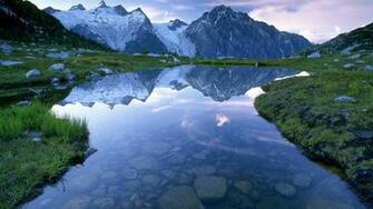 Pond Wallpaper