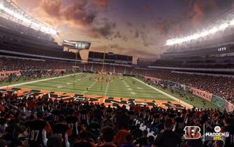 Bengals The