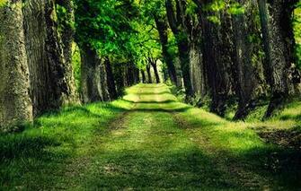 Wallpaper Screensavers Nature