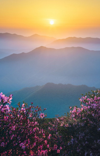 Nature Is Life Beautiful Landscapes Cool Landscape