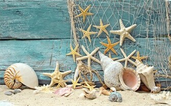 Wallpaper Seashells Starfish Net Wood Marine