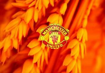 Wallpaper Of Manchester United Football Club Fanzone S 3d