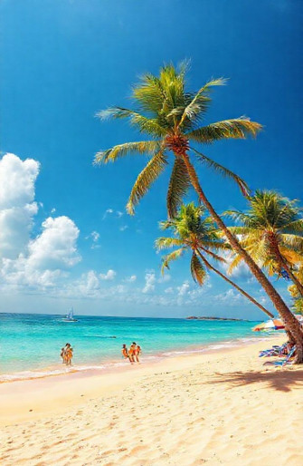 Sunny Beach Wallpaper