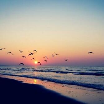 Wallpaper Widescreen HD Amagico Photography Desktop