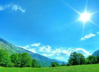 Summer Nature Wallpaper