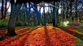 Wallpaper Mac Pc Os Windows Autumn Walk No Comments