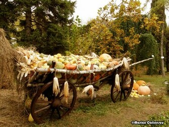 Autumn Lights Picture Harvest Wallpaper