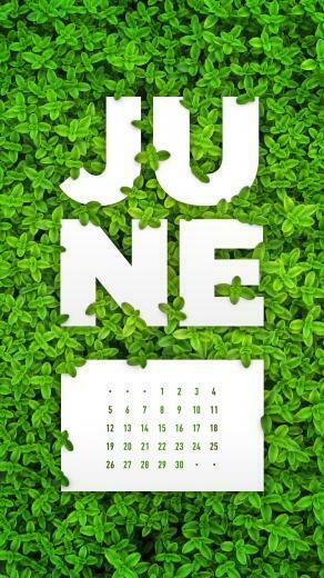 June Desktop Calendar Wallpaper Paper Leaf