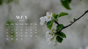 And Customizable Floral Desktop Wallpaper Templates