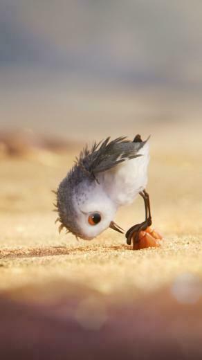 Wallpaper Piper Bird Pixar Animals