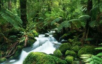 Best Pics Store Top HD Wallpaper Collection For Pc Laptop