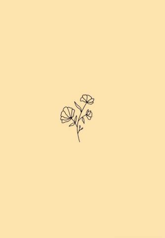Minimalist Flower Wallpaper Pastel Yellow Background