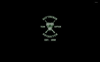 Slytherin Quidditch Team Wallpaper