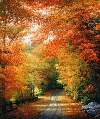 Autumn In New England Wall Art Contemporary Wallpaper By Murals