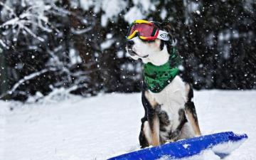 Winter Fun Cute