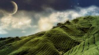 3d Landscape Plantation Picture Nr