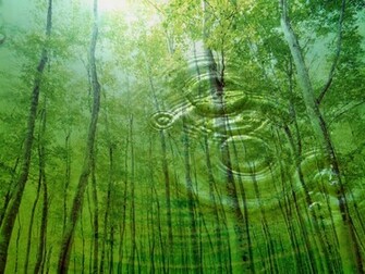 Nature Background HD Wallpaper