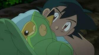 Synopsis Bw18 Yaguruma Forest Sewaddle And Arti Pok Jungle