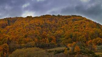 Hill In The Fall Wallpaper