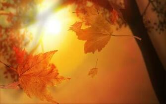 Autumn Desktop Pc And Mac Wallpaper