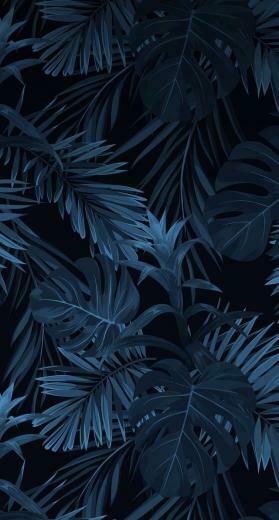 iPhone Wallpaper Ideas Cellular