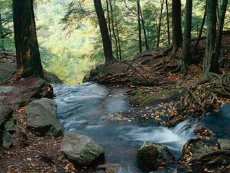 Rivers And Creeks Wallpaper X