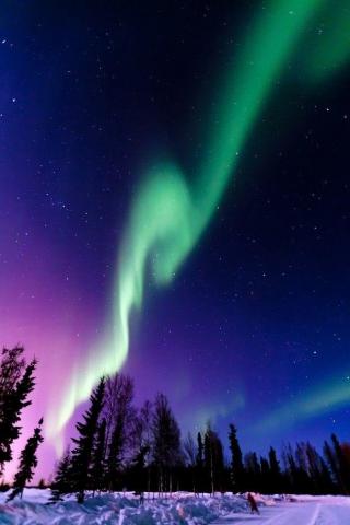 Aurora Borealis Wallpaper Google Search Boreal