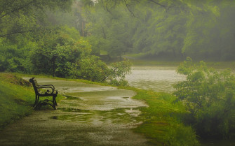 Nature Rain Wallpaper