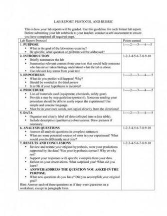 College Admission Essay Writing Services
