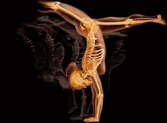 Amazing HD Wallpaper Photos Of Human Body Ever Seen