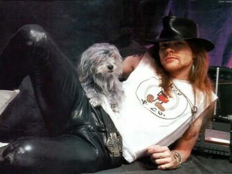 Gnr Fans Guns N Roses Wallpaper