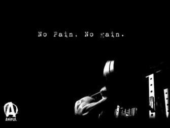 Wallpaper Of Bodybuilding Kulturizmas Net Diskusij Forumas