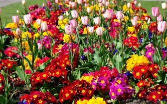 Flower Garden Wallpaper