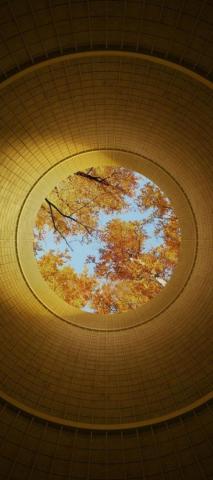 Huawei Mate Pro Official Wallpaper And Themes