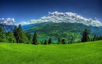 Grasslands Wallpaper Collection