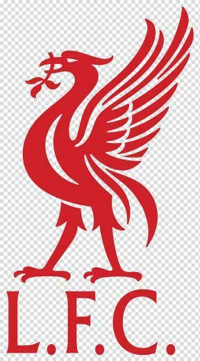 L F C Liverpool Anfield Liver Bird Logo Fa Cup