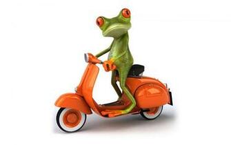 Frog 3d Wallpaper For Desktop Is A Great Your Computer
