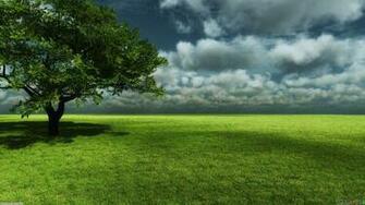 Green Field Wallpaper Open Walls